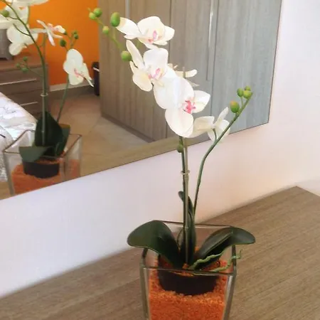 Perla Del Rent アパート シルミオーネ